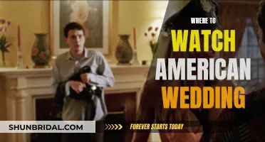 Streaming 'American Wedding': Where to Watch the Hilarious Rom-Com