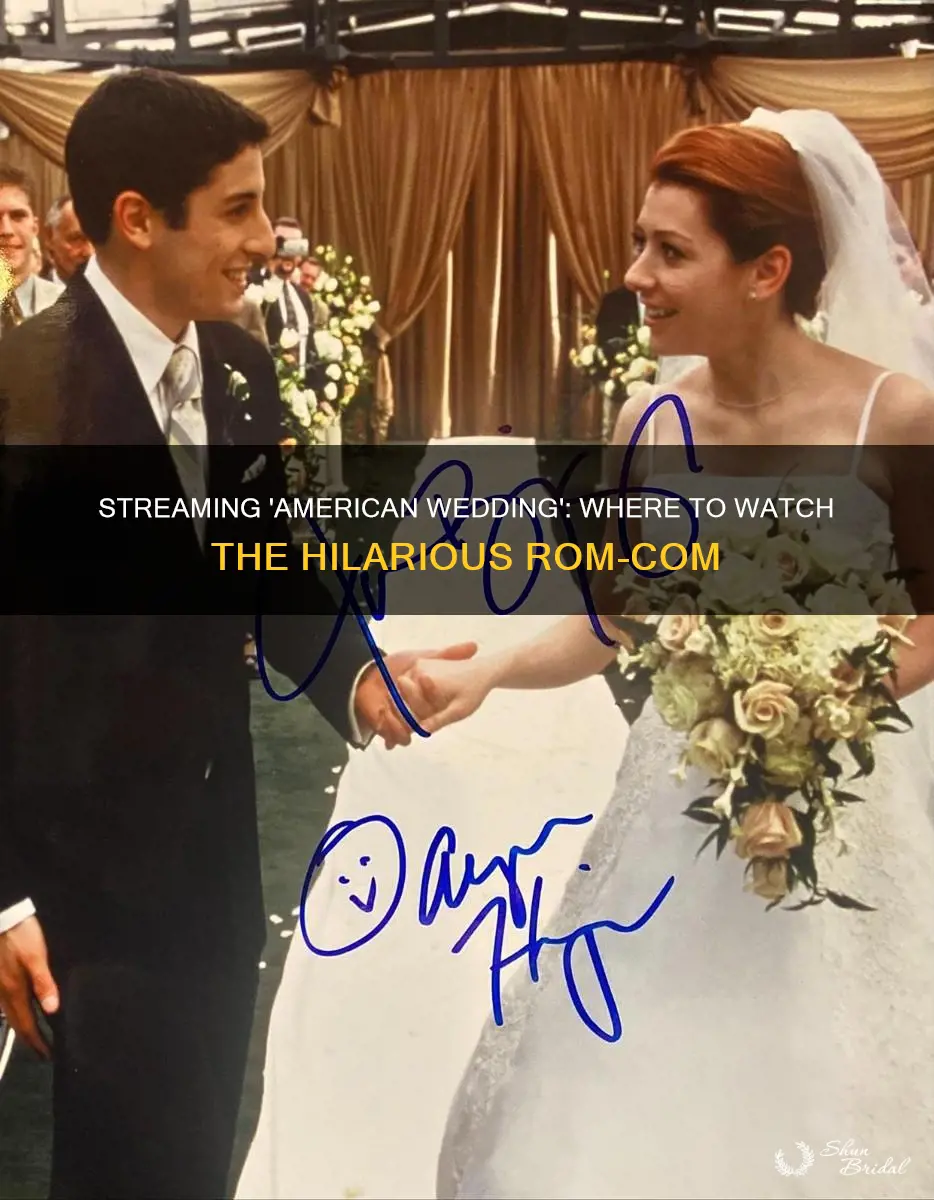 where to watch american wedding