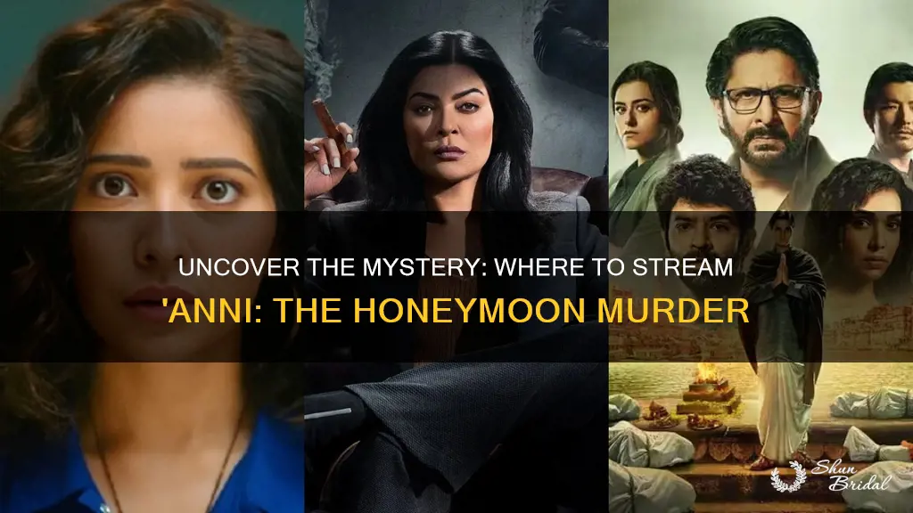 where to watch anni: the honeymoon murder