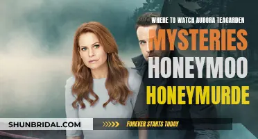 Uncover the Secrets: Where to Stream 'Honeymoon Honeymurder'!