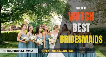 Best Bridesmaids: Where to Watch and Why