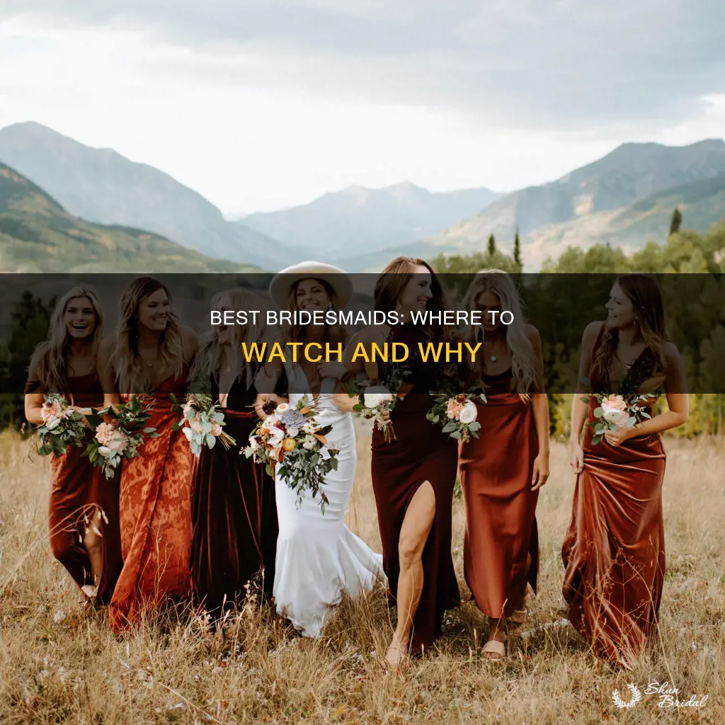 where to watch best bridesmaids