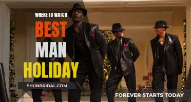 Best Man Holiday: Where to Watch This Feel-Good Flick