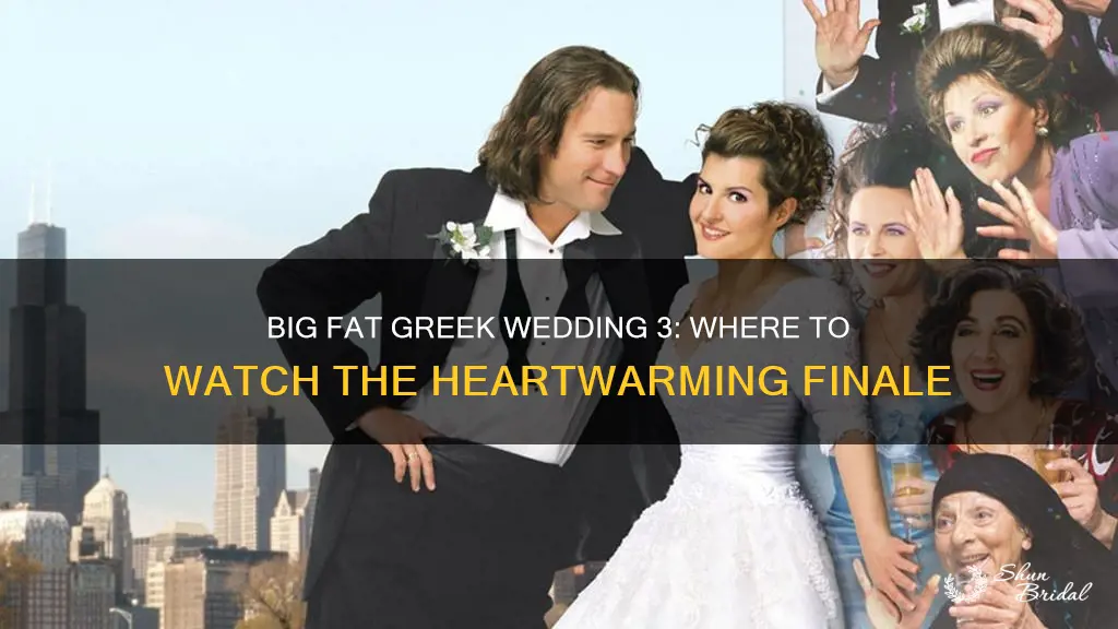 where to watch big fat greek wedding 3