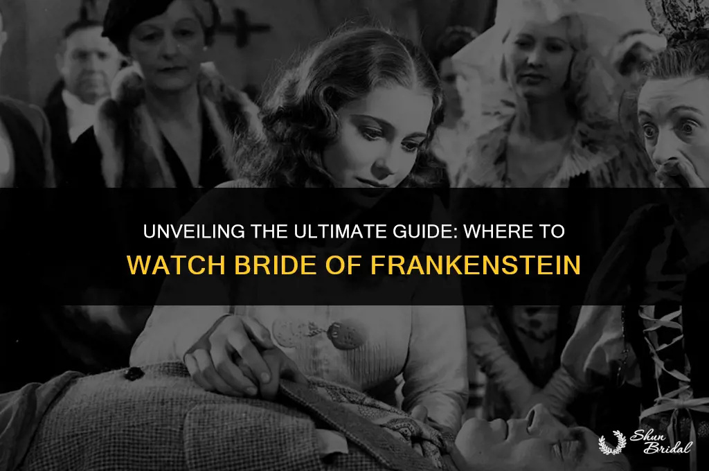 where to watch bride of frankenstein