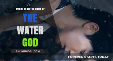Where to Stream 'Bride of the Water God': A Comprehensive Guide
