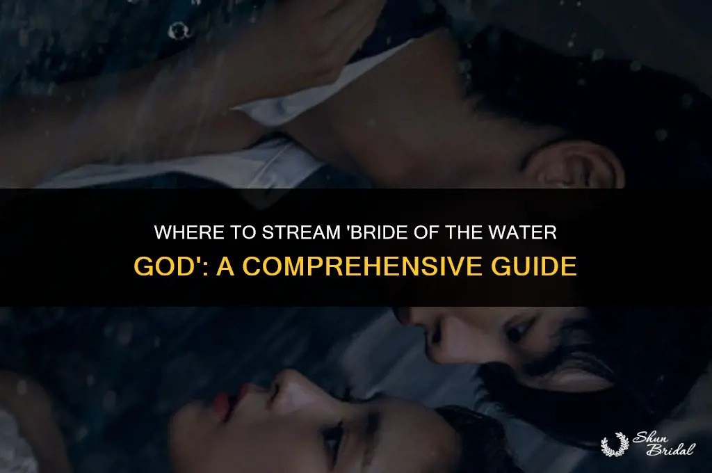 where to watch bride of the water god