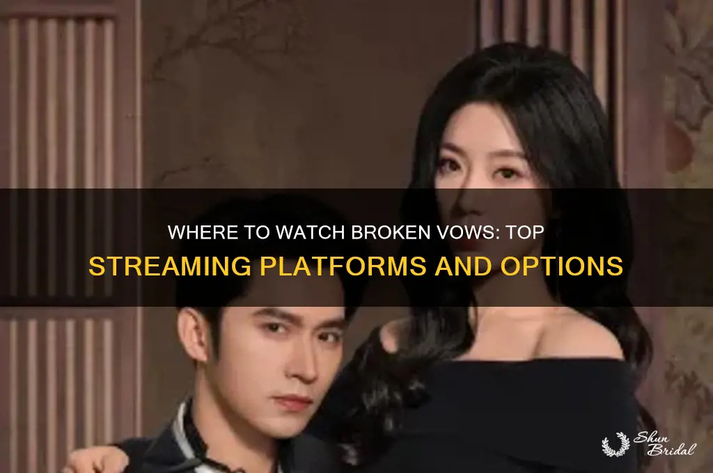 where to watch broken vows