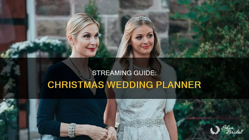 where to watch christmas wedding planner