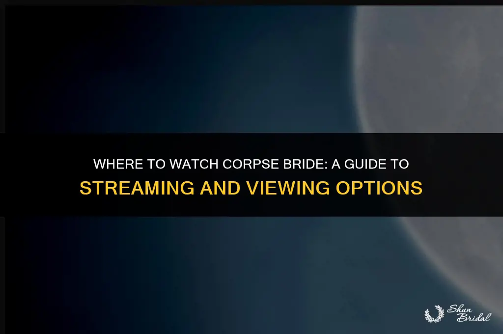 where to watch corps bride