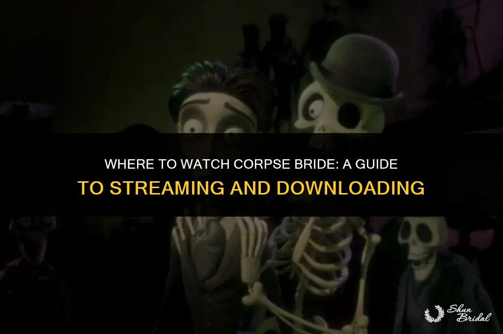 where to watch cropse bride