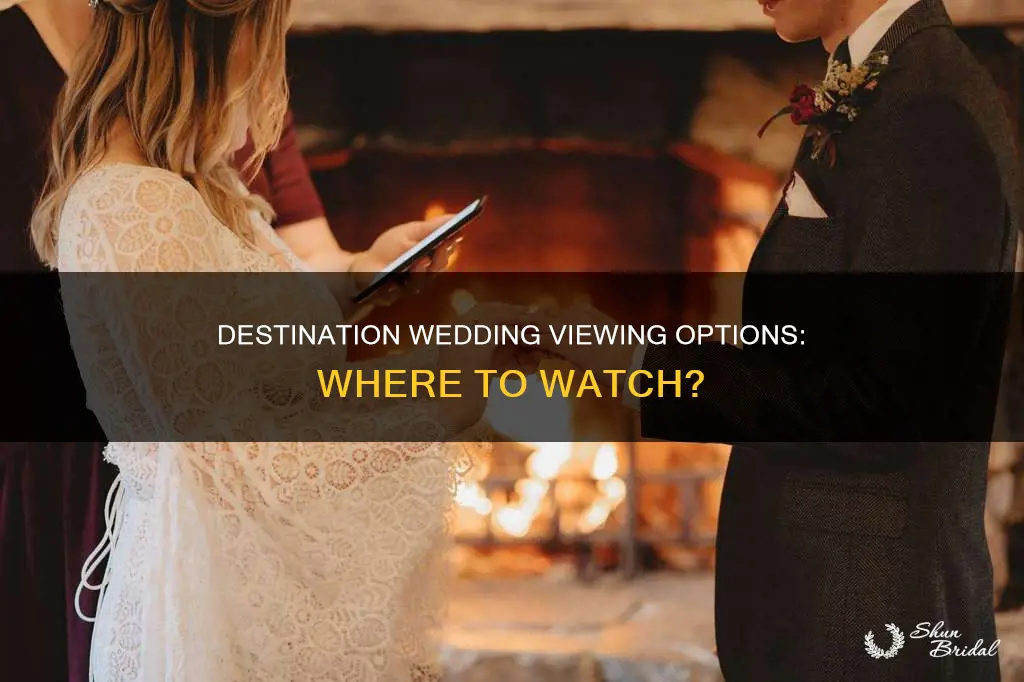 where to watch destination wedding