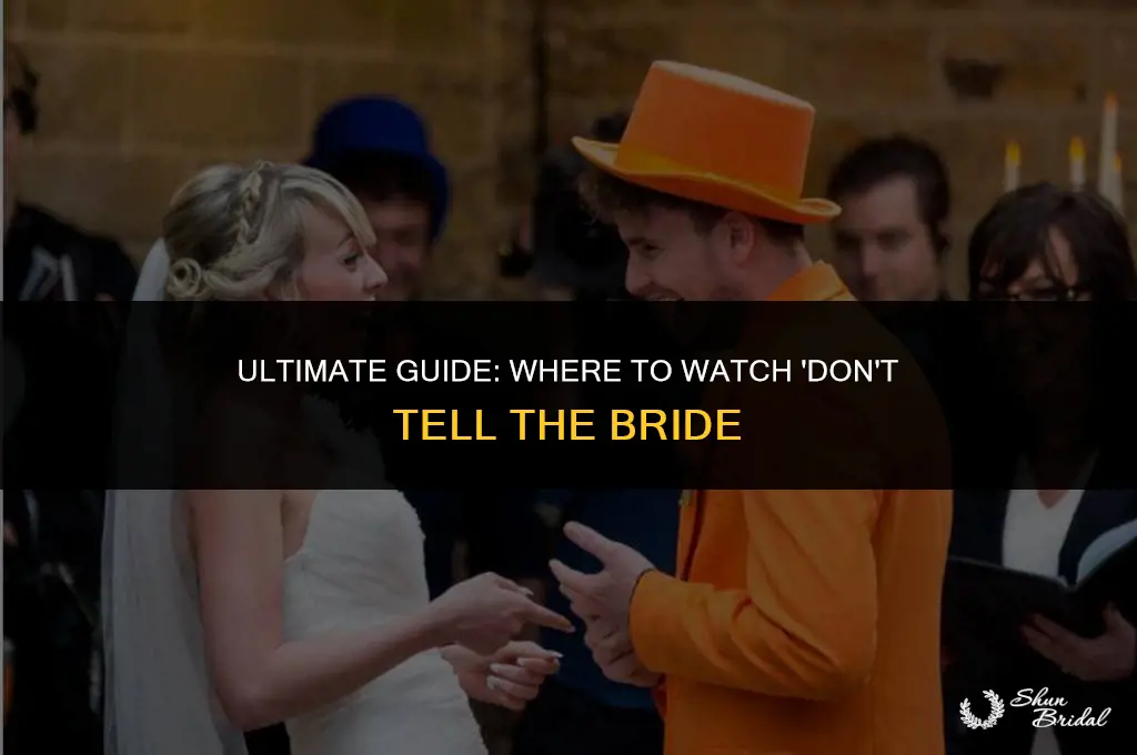 where to watch don