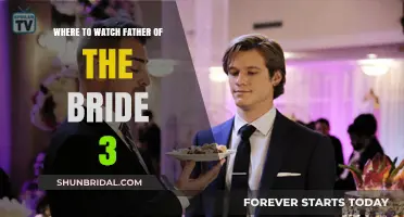 Streaming Options for Father of the Bride 3: A Complete Guide