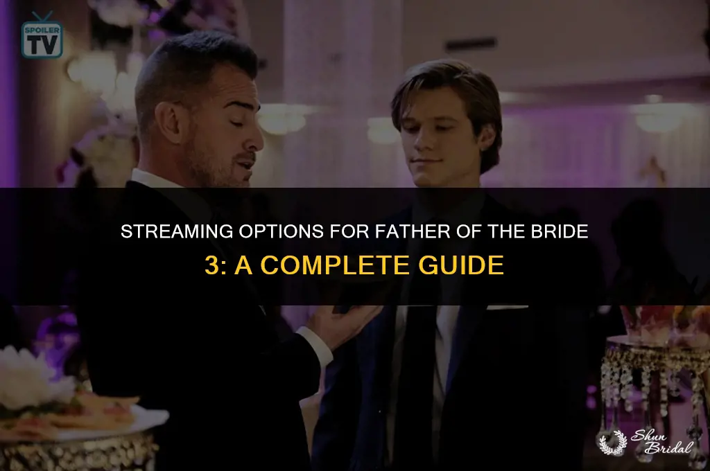 where to watch father of the bride 3