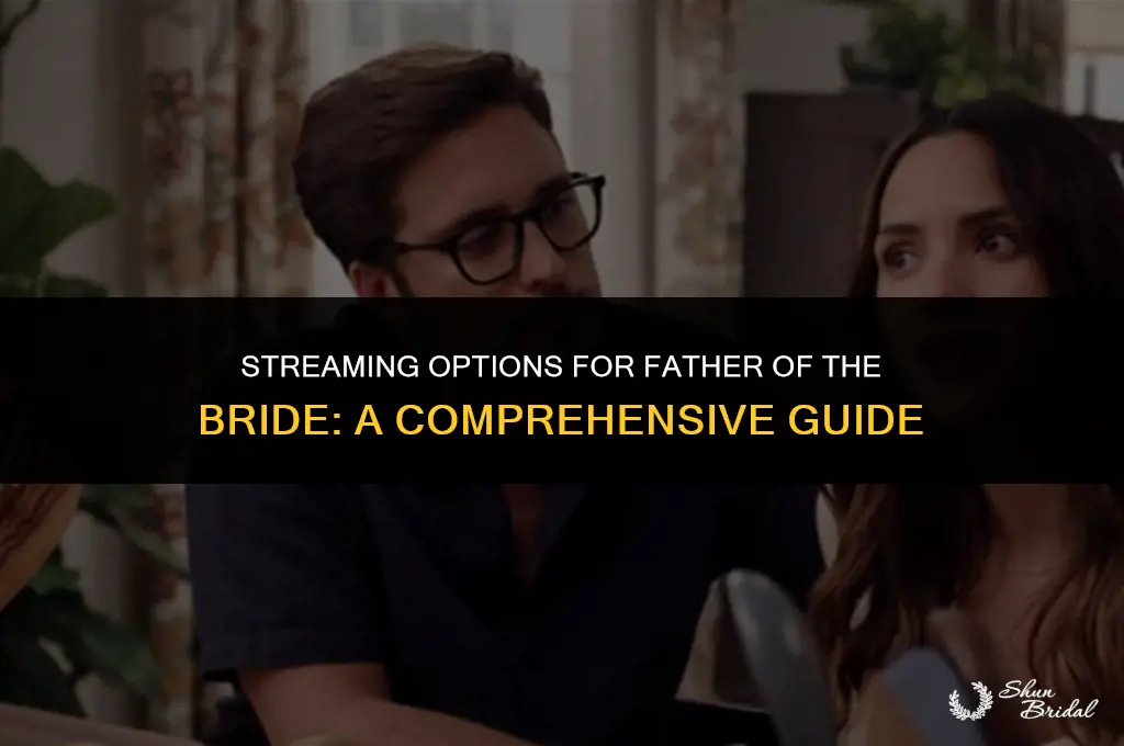 where to watch father of the bride