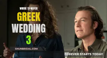 Best Platforms to Stream My Big Fat Greek Wedding 3