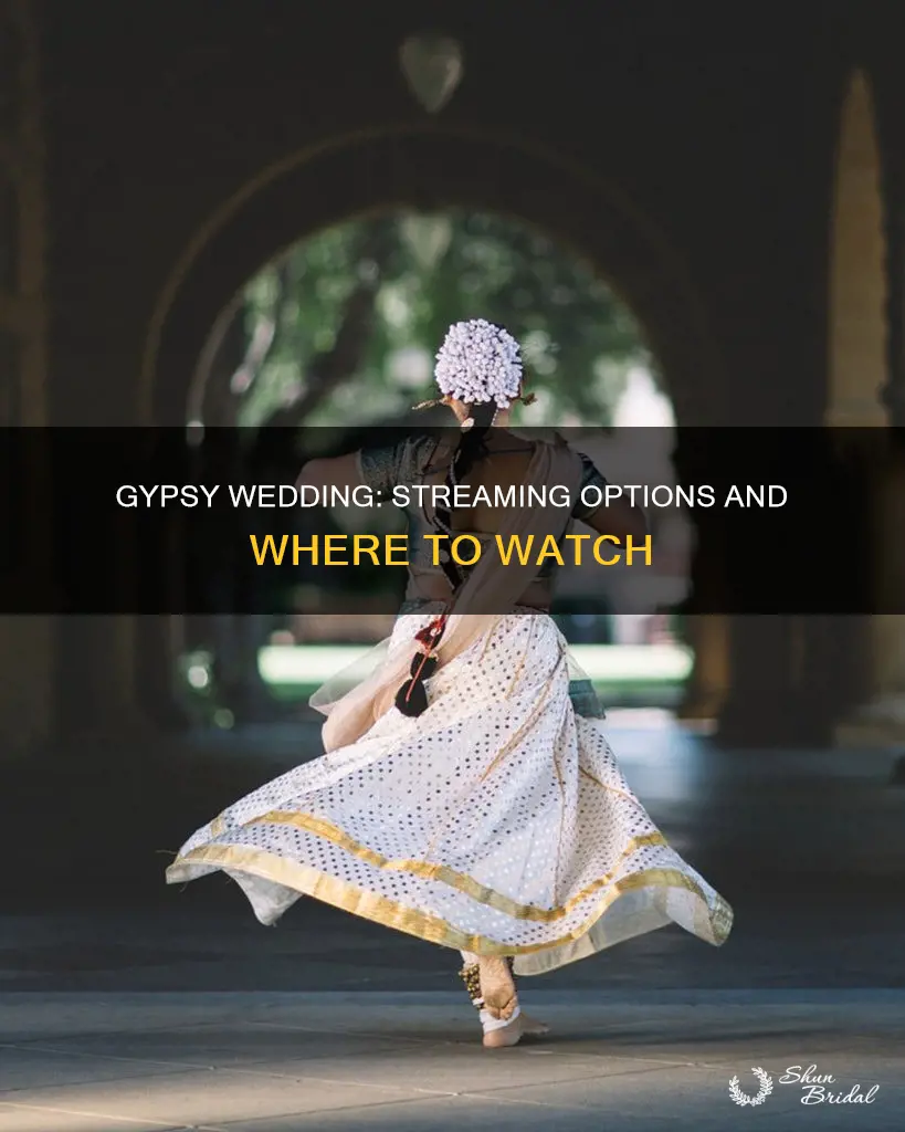 where to watch gypsy wedding