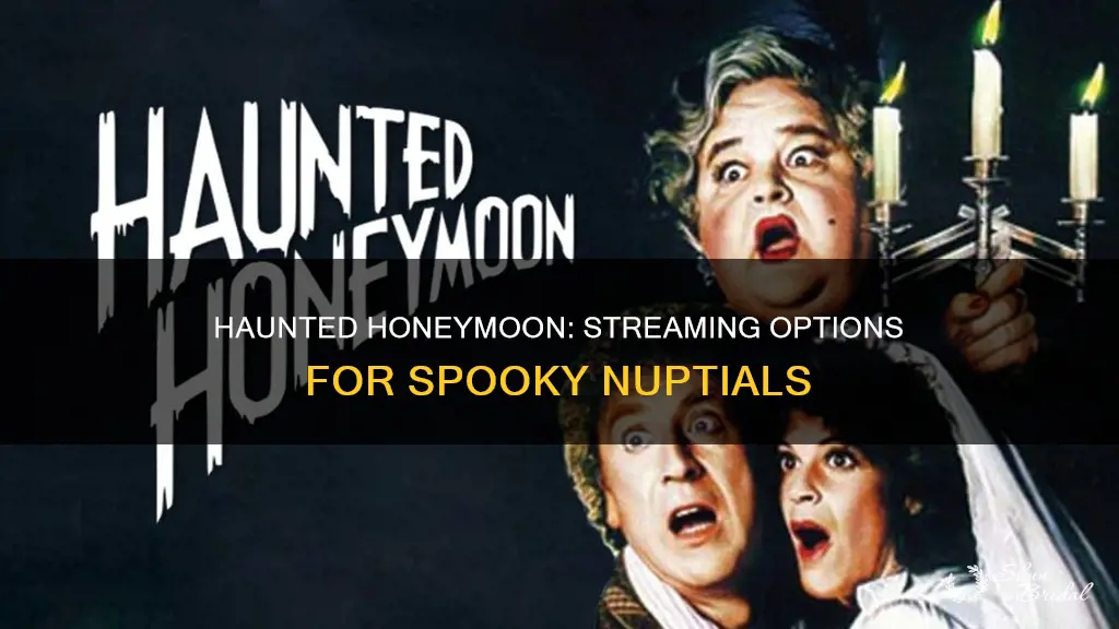 where to watch haunted honeymoon