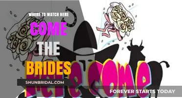 Here Come the Brides: A Guide to Streaming Options