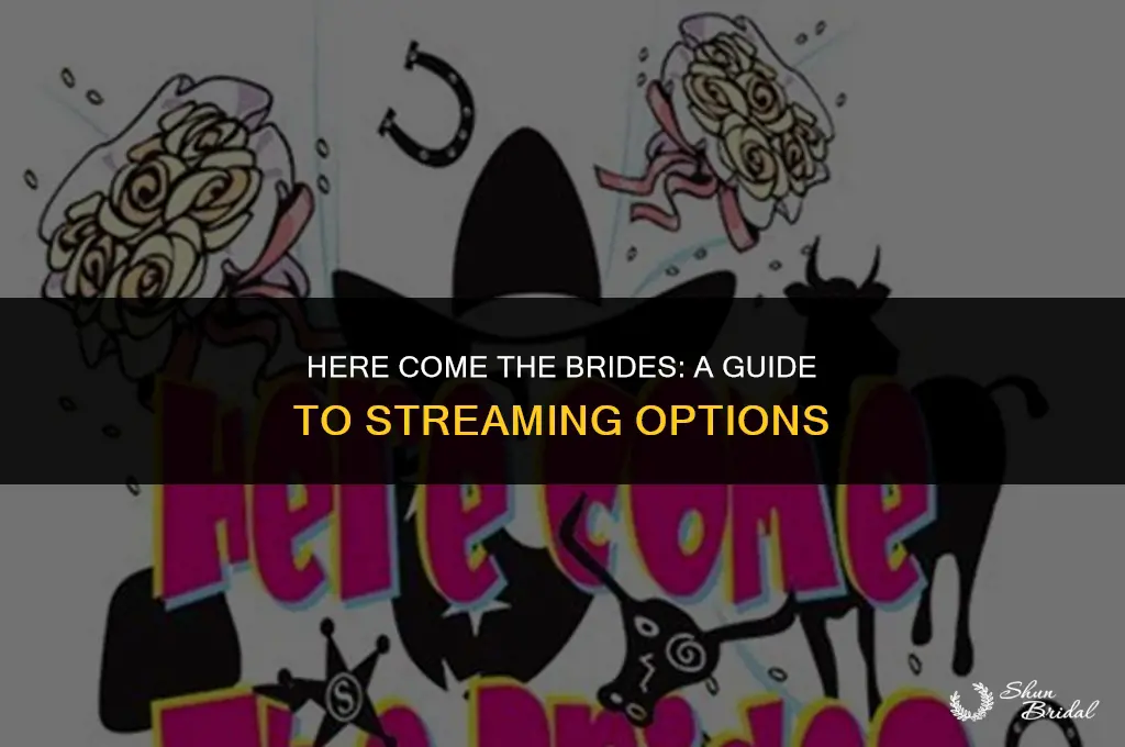 where to watch here come the brides