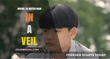 Where to Watch Man in a Veil: Streaming Guide for Fans