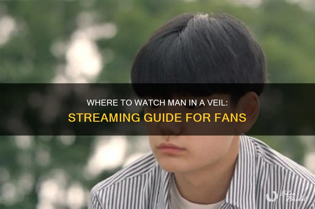 where to watch man in a veil