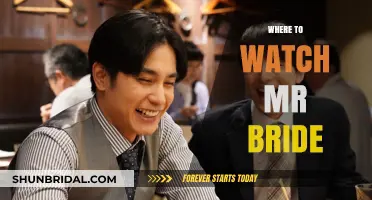 Where to Watch Mr. Bride: A Comprehensive Streaming Guide