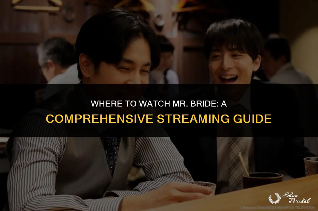 where to watch mr bride