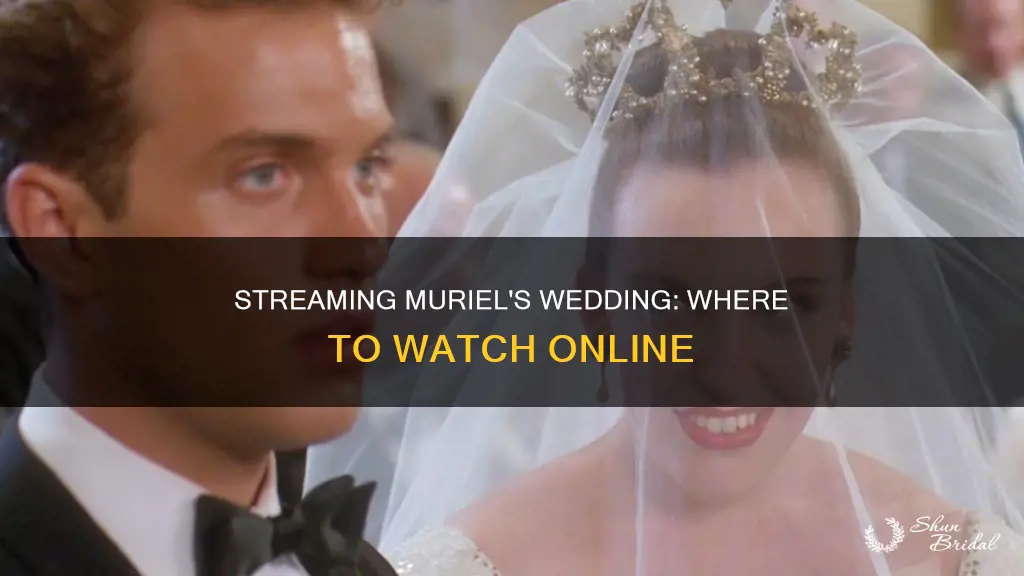 where to watch muriels wedding