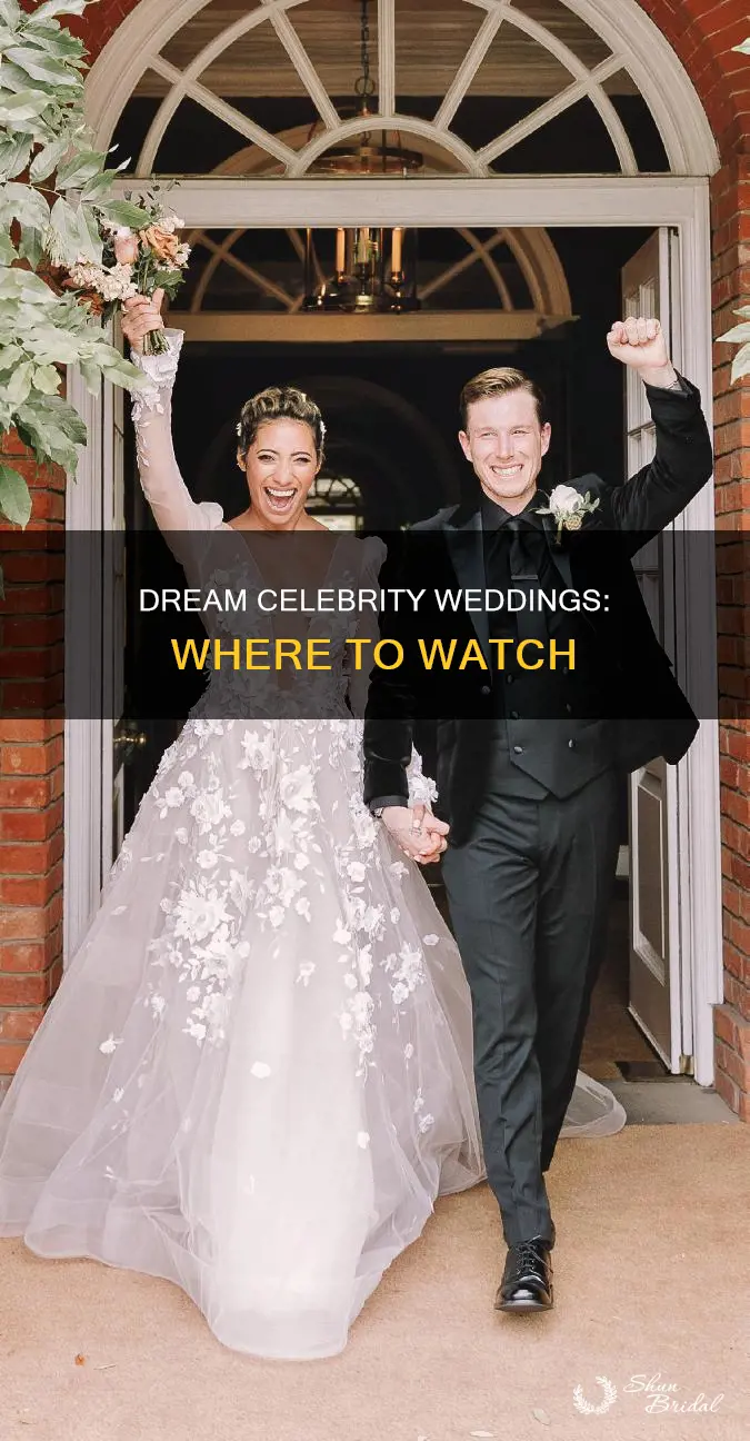 where to watch my celebrity dream wedding