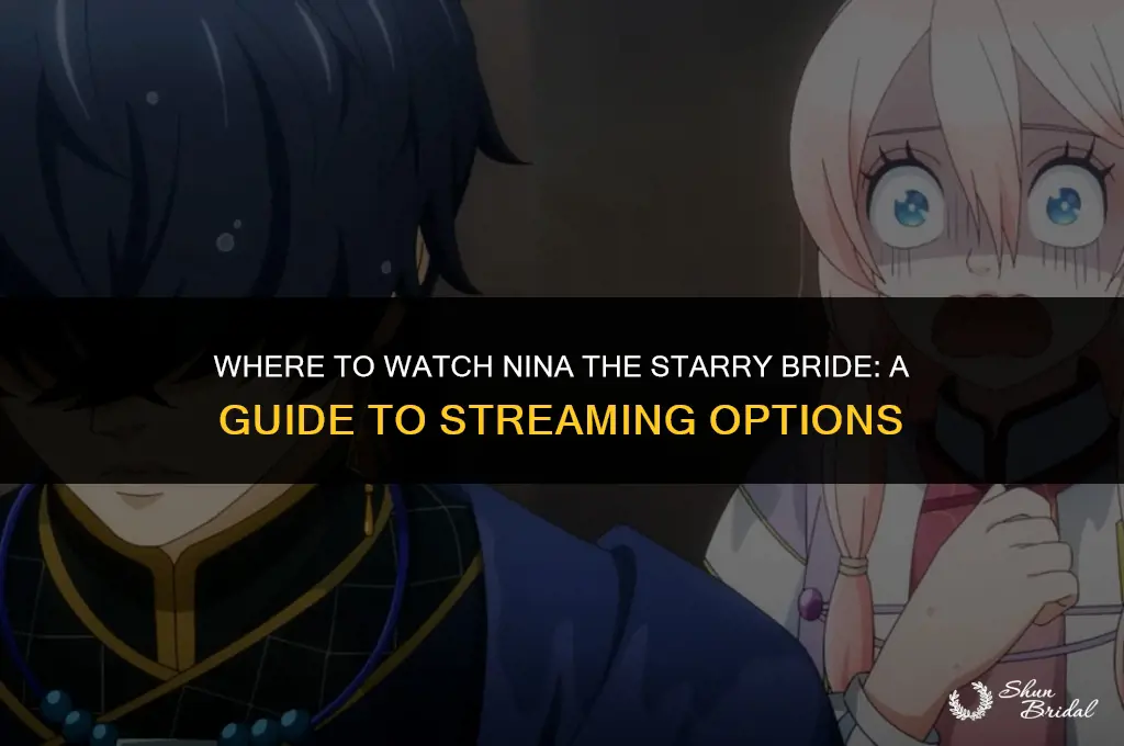where to watch nina the starry bride