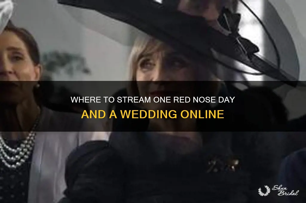 where to watch one red nose day and a wedding