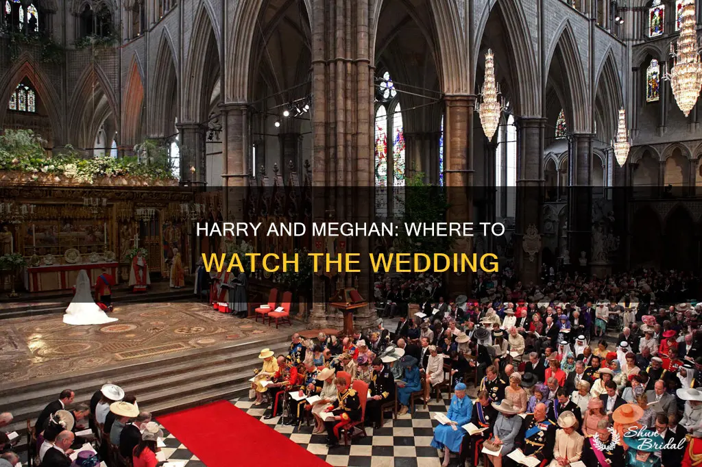 where to watch prince harry wedding