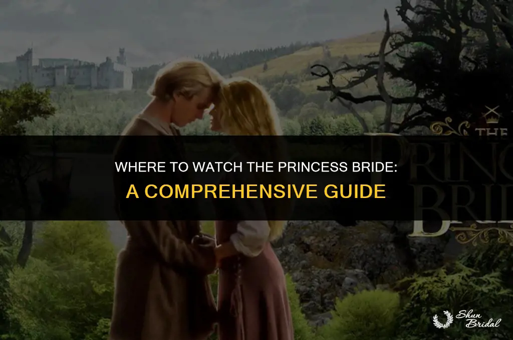 where to watch princess bride