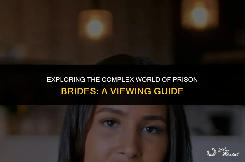 where to watch prison brides
