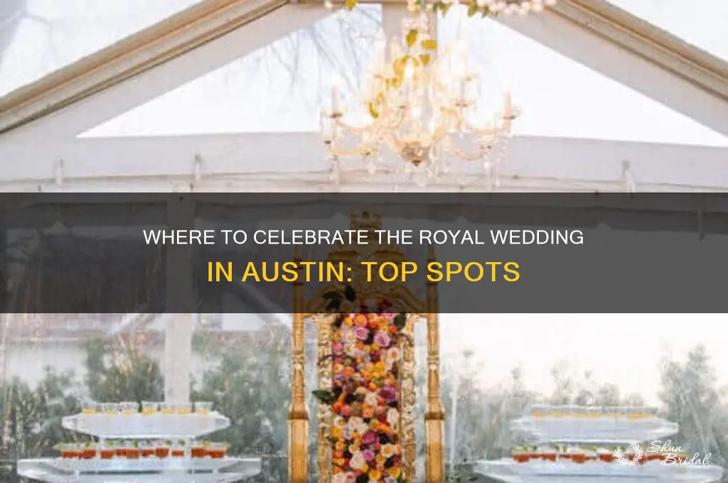 where to watch royal wedding austin