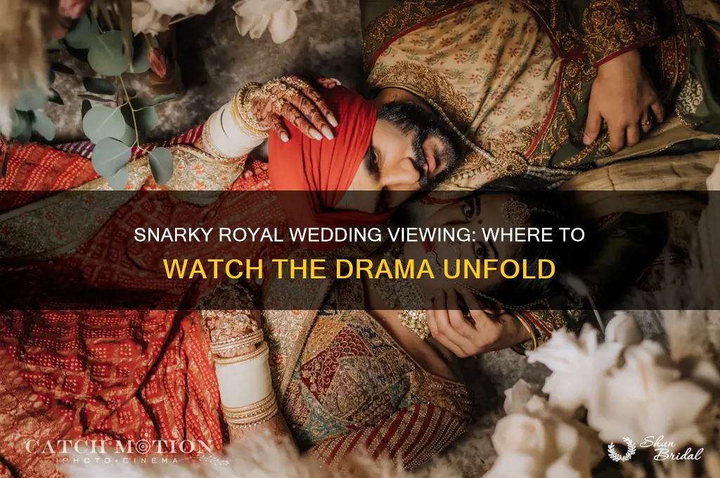 where to watch royal wedding for snark
