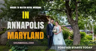 Celebrate the Royal Wedding: Top Annapolis Spots to Watch Live