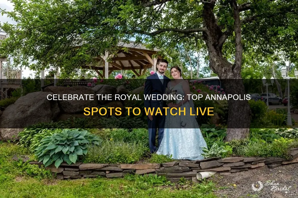 where to watch royal wedding in annapolis maryland