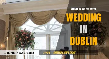 Dublin's Best Spots to Watch the Royal Wedding Live