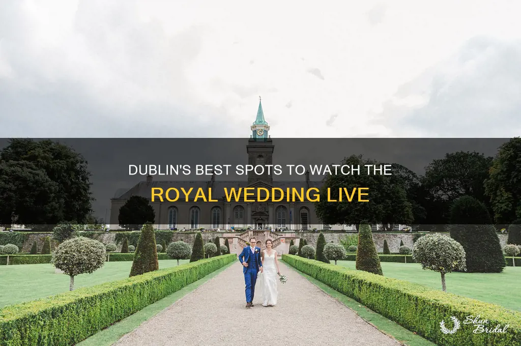 where to watch royal wedding in dublin