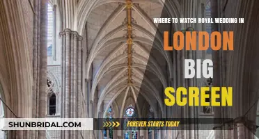 Where to Watch the Royal Wedding on Big Screens in London