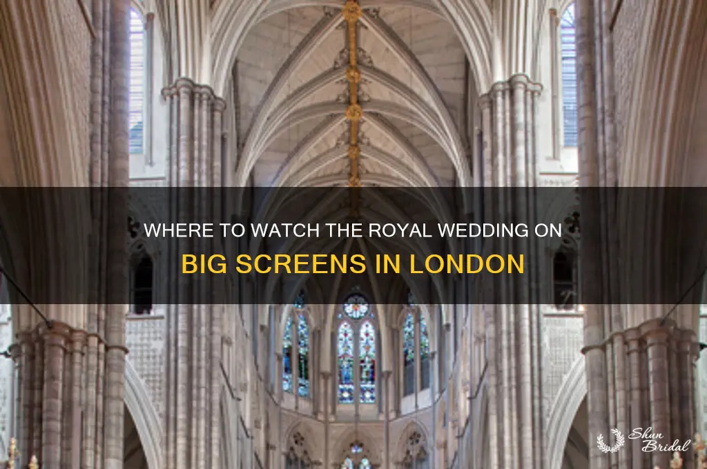 where to watch royal wedding in london big screen