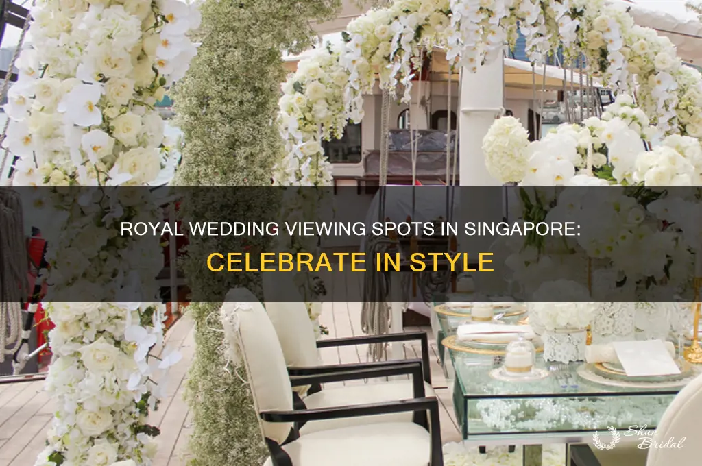 where to watch royal wedding in singapore