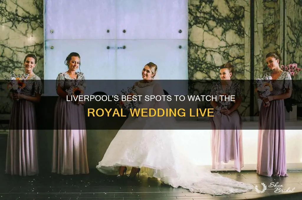 where to watch royal wedding liverpool