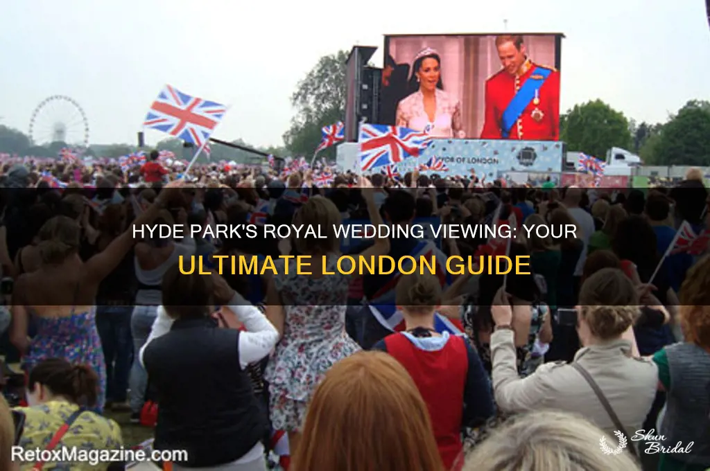 where to watch royal wedding london hyde park