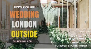 Best Outdoor Spots in London to Watch the Royal Wedding Live
