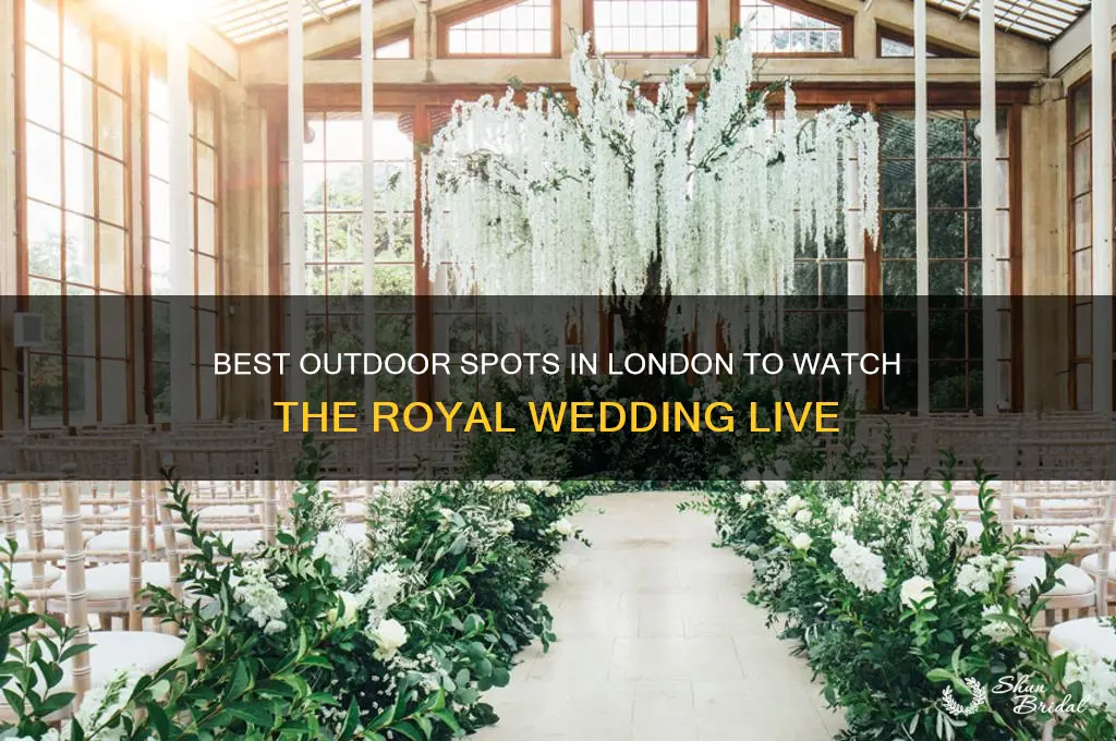 where to watch royal wedding london outside