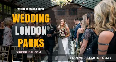Royal Wedding Viewing: London Parks Guide for Live Celebrations
